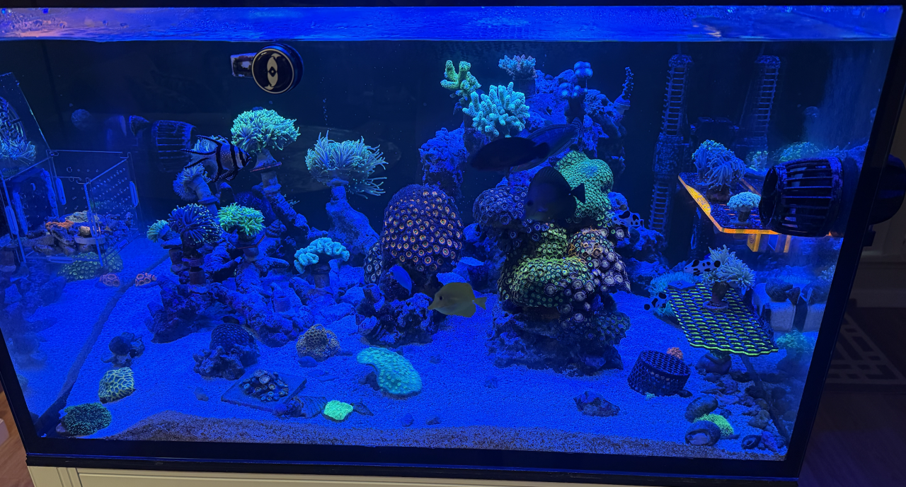 Screenshot 2025-03-12 at 4.11.54 PM.png