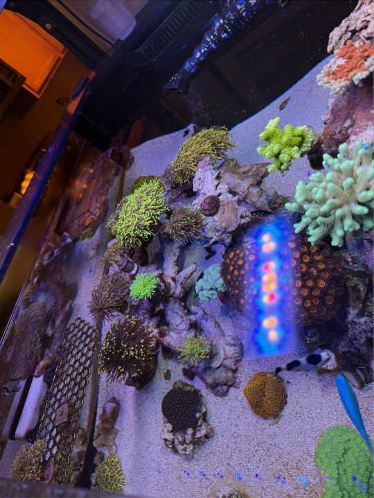 Screenshot 2025-03-23 at 4.12.34 PM.png