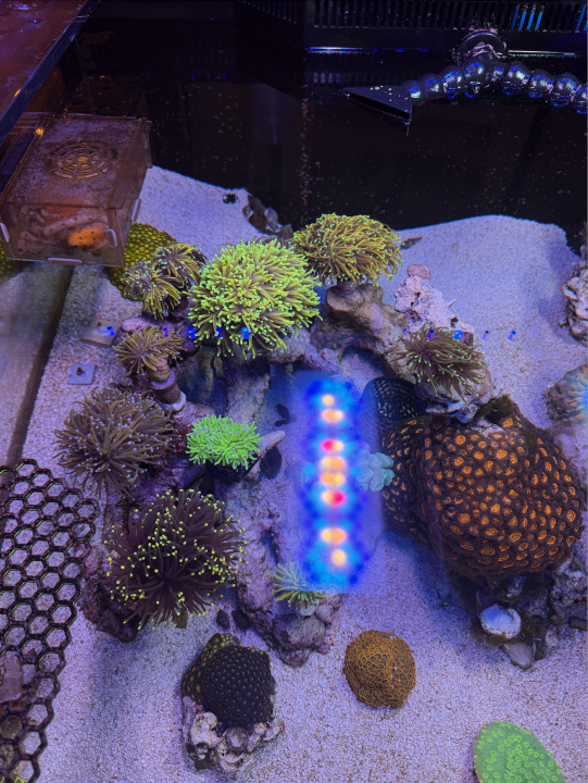 Screenshot 2025-03-23 at 4.13.20 PM.png