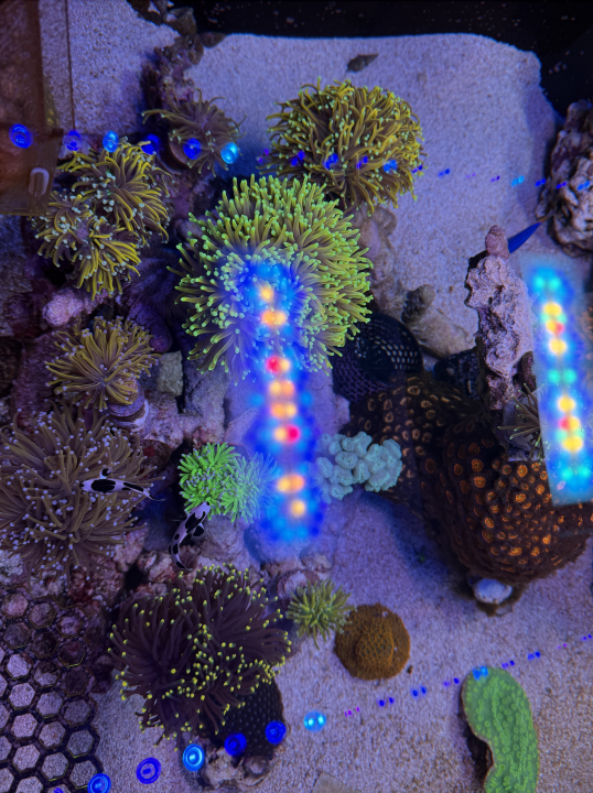 Screenshot 2025-03-23 at 4.13.40 PM.png