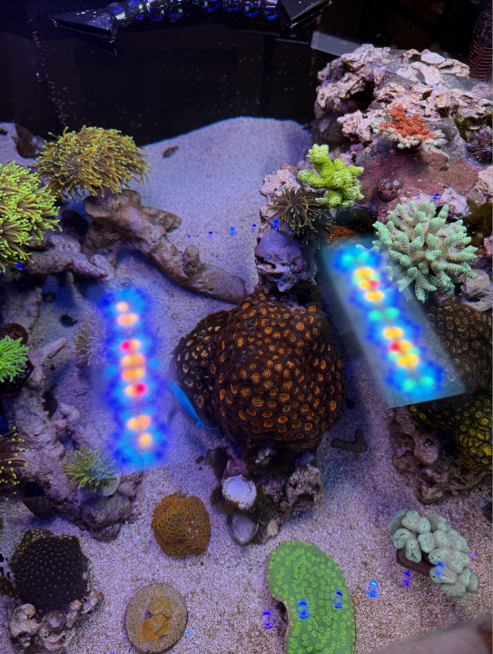 Screenshot 2025-03-23 at 4.13.52 PM.png