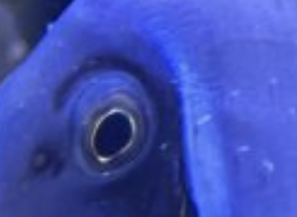 Screenshot 2025-10-27 at 11.26.20 AM.png