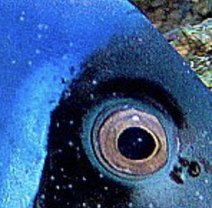 Screenshot 2025-10-27 at 11.28.31 AM.png