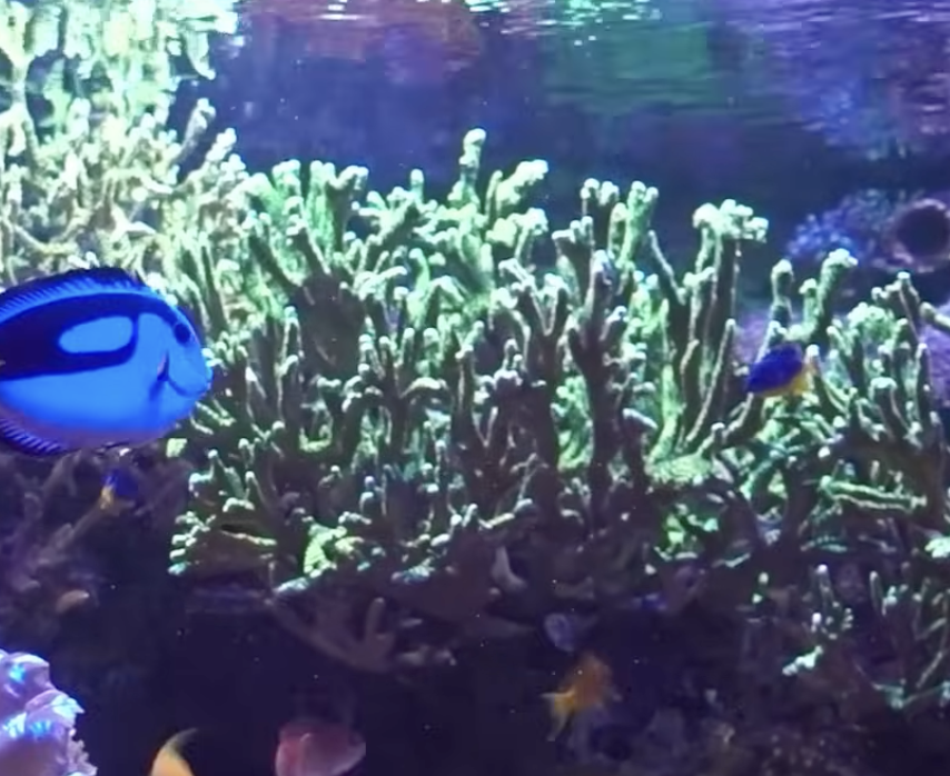 Screenshot 2025-11-01 at 6.40.38 PM.png