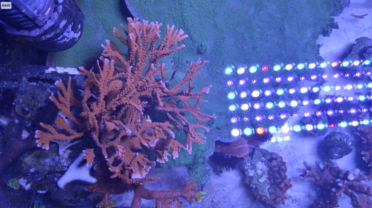 Screenshot 2025-11-03 at 3.34.17 PM.png