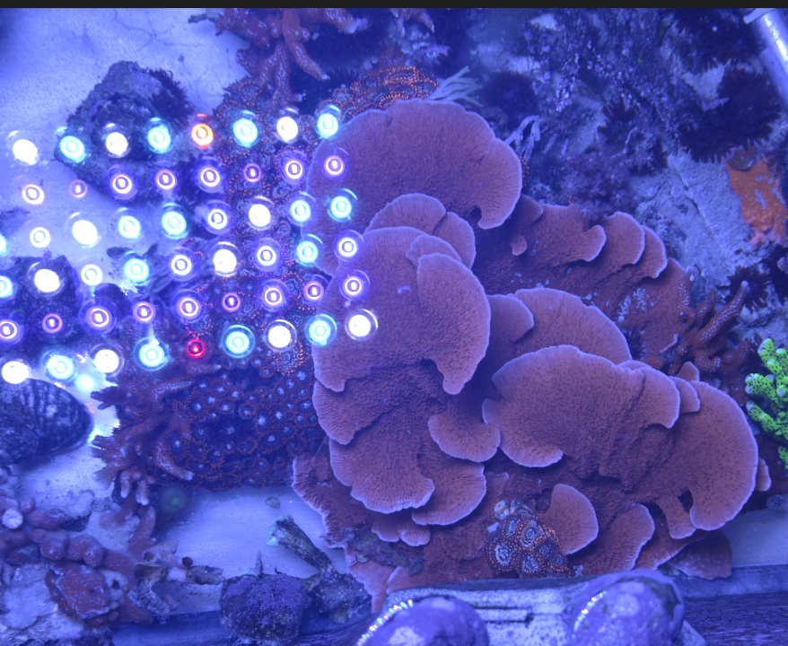 Screenshot 2025-11-03 at 3.34.25 PM.png