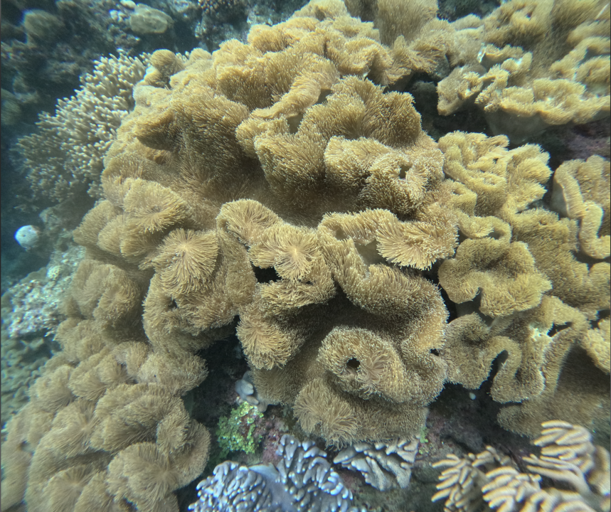 Screenshot 2025-12-08 at 10.09.28 AM.png