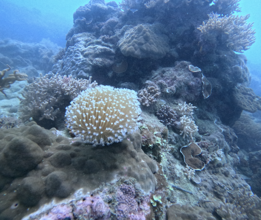 Screenshot 2025-12-08 at 10.10.51 AM.png