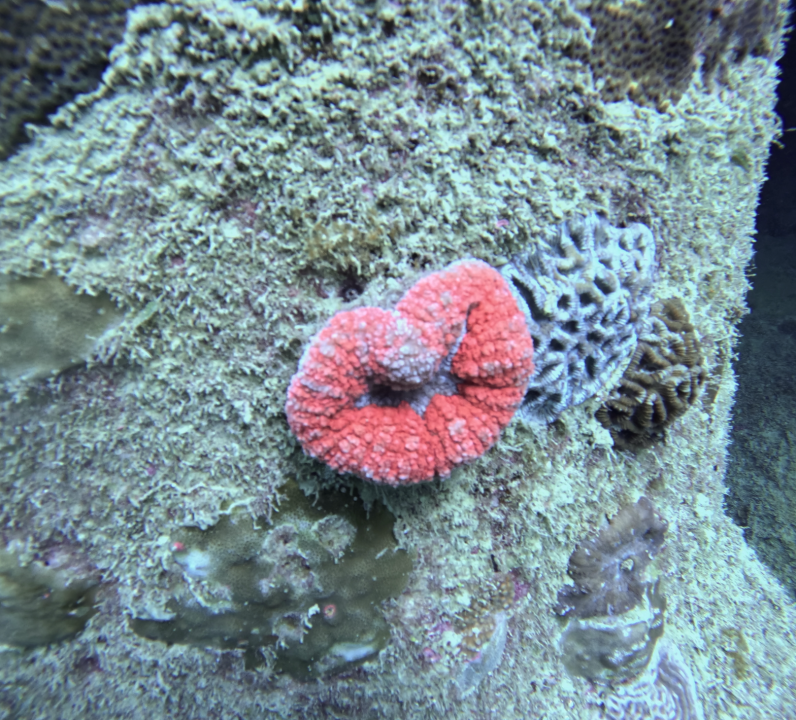 Screenshot 2025-12-08 at 10.12.10 AM.png