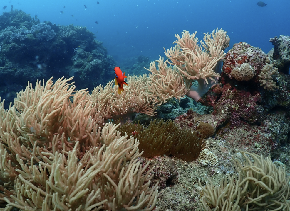 Screenshot 2025-12-08 at 10.12.38 AM.png