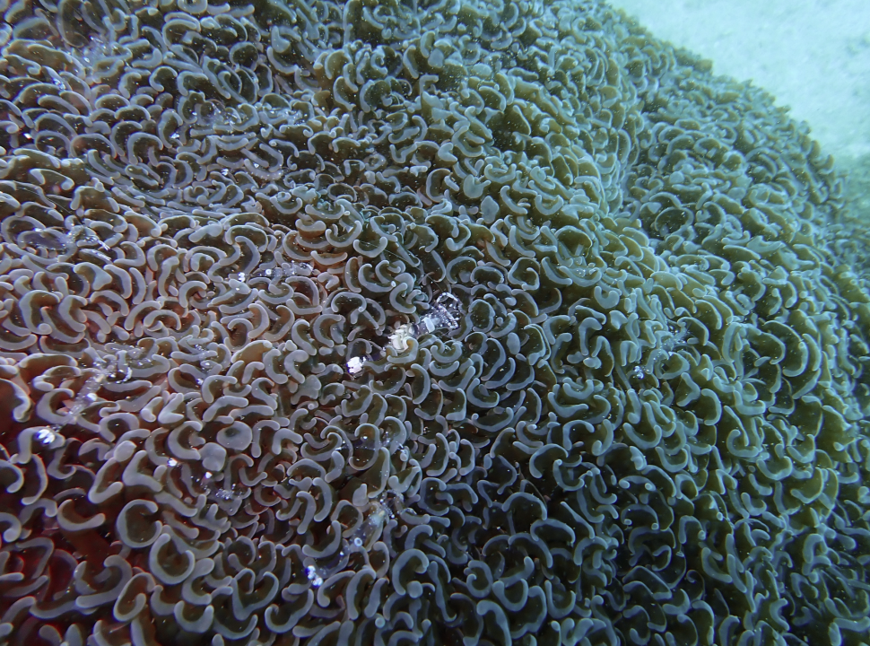 Screenshot 2025-12-08 at 10.23.48 AM.png