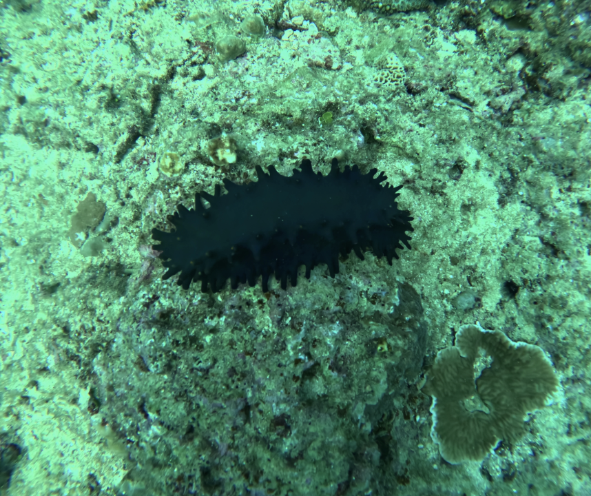 Screenshot 2025-12-08 at 10.35.21 AM.png