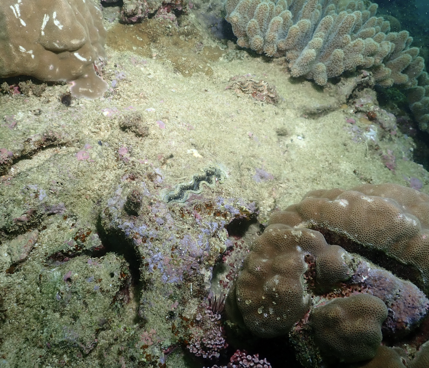 Screenshot 2025-12-08 at 10.36.29 AM.png