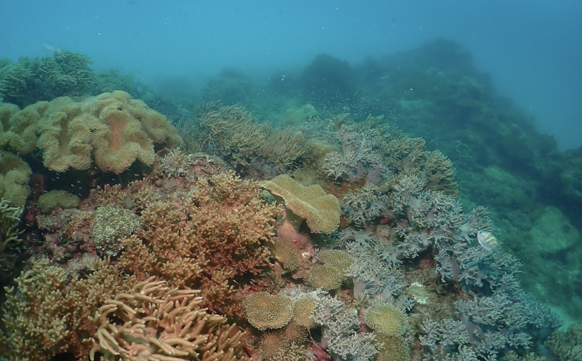 Screenshot 2025-12-08 at 12.52.27 PM.png