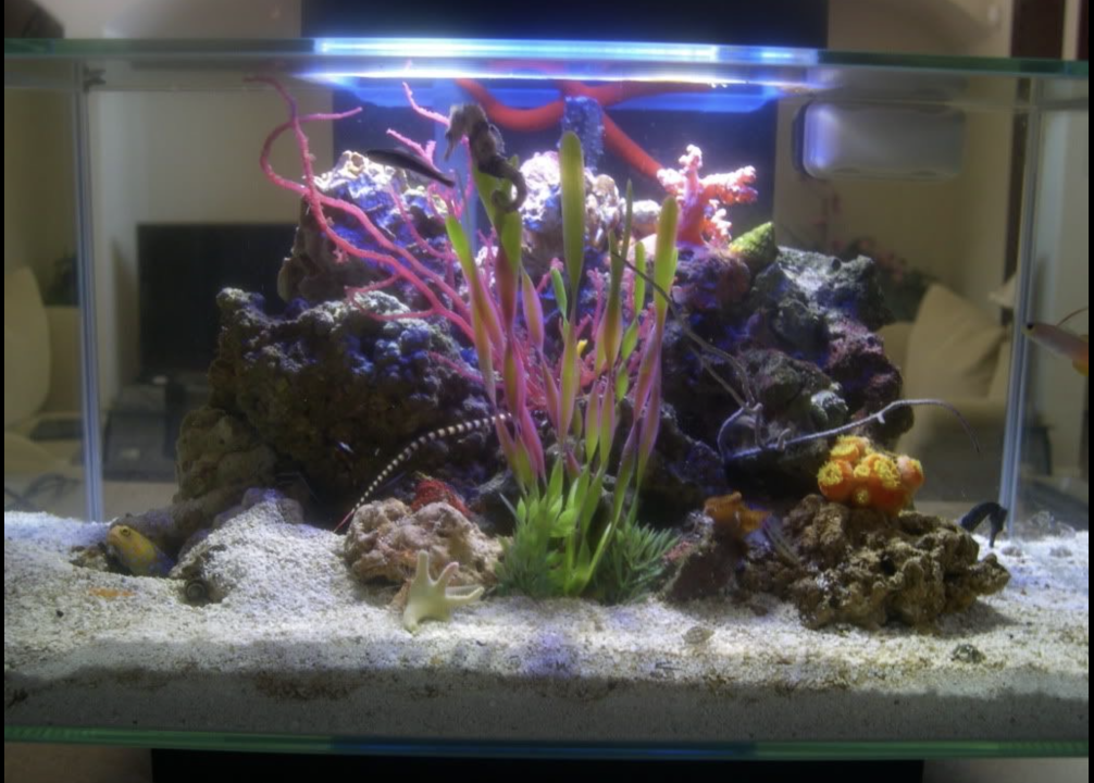 Screenshot 2025-12-11 at 6.09.53 PM.png