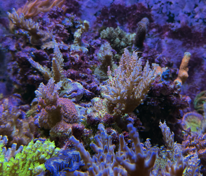 Screenshot 2026-01-02 at 9.23.43 PM.png