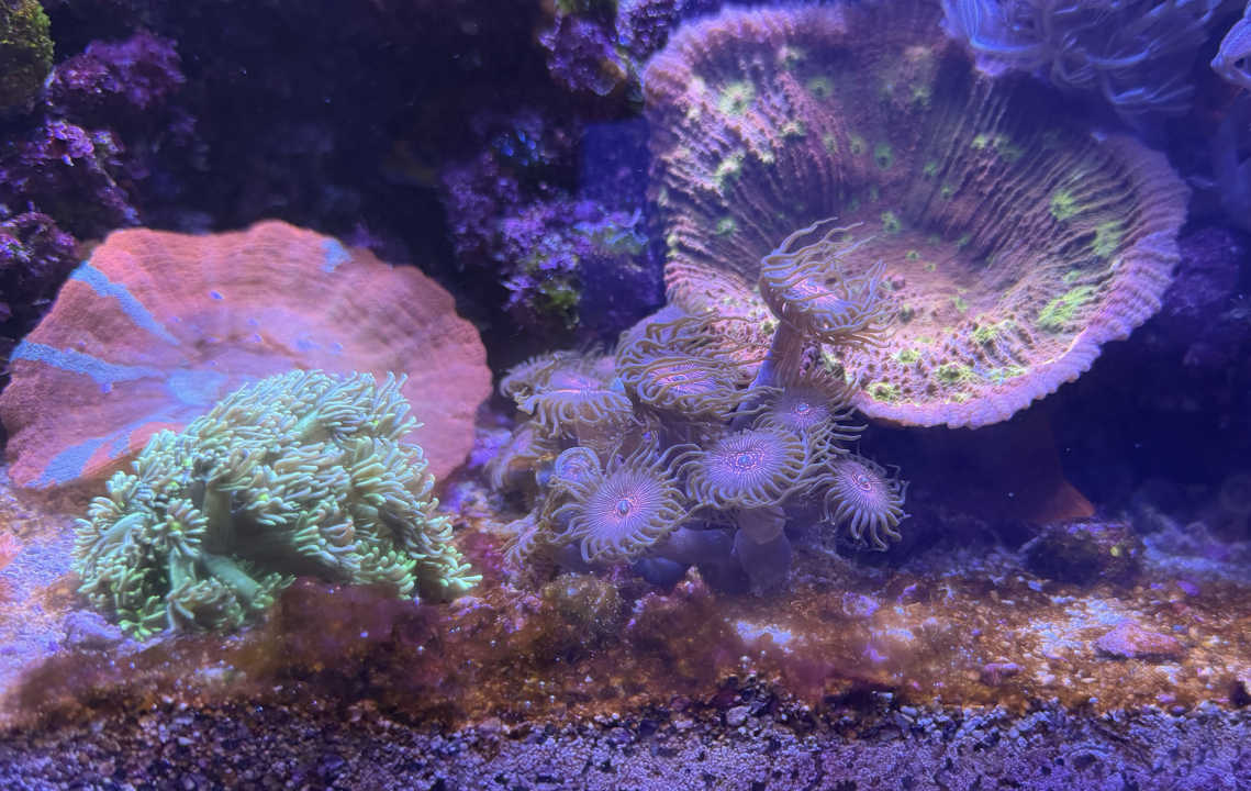 Screenshot 2026-02-22 at 6.24.45 PM.png