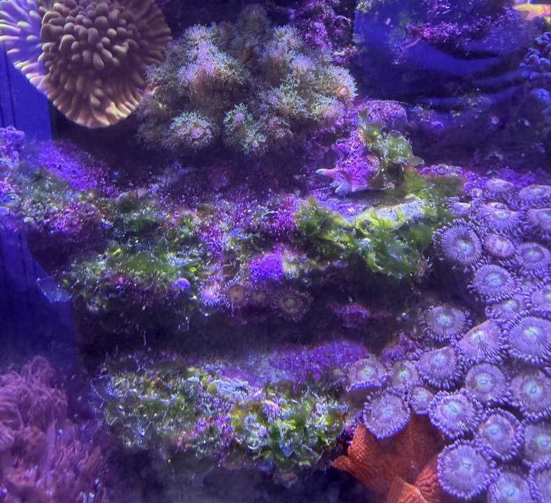 Screenshot 2026-02-22 at 6.25.19 PM.png