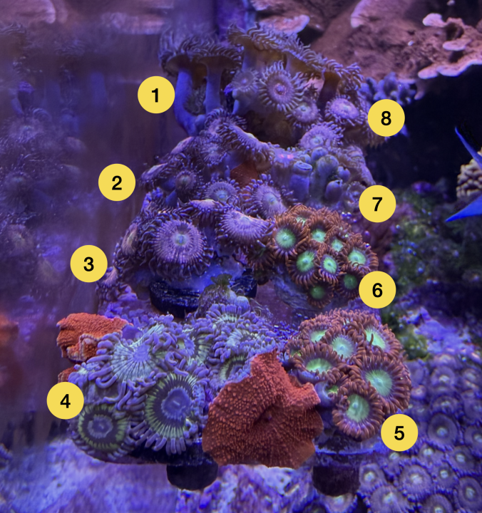 Screenshot 2026-03-07 at 11.18.25 AM.png