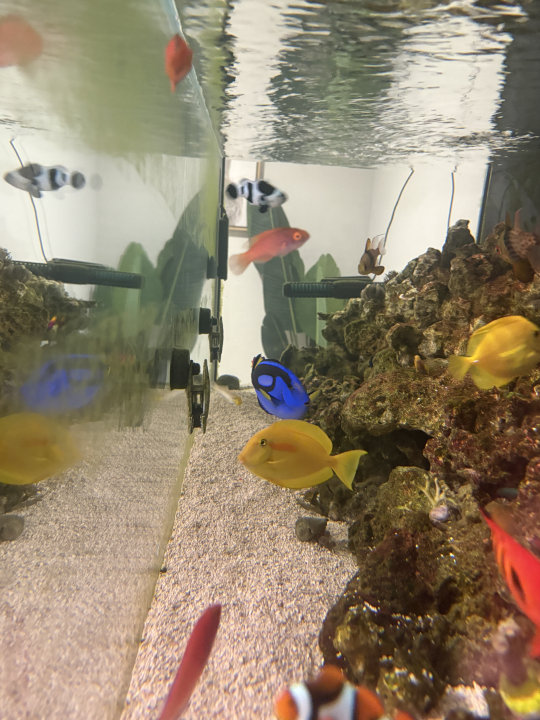 Screenshot 2026-04-24 at 9.20.10 PM.png