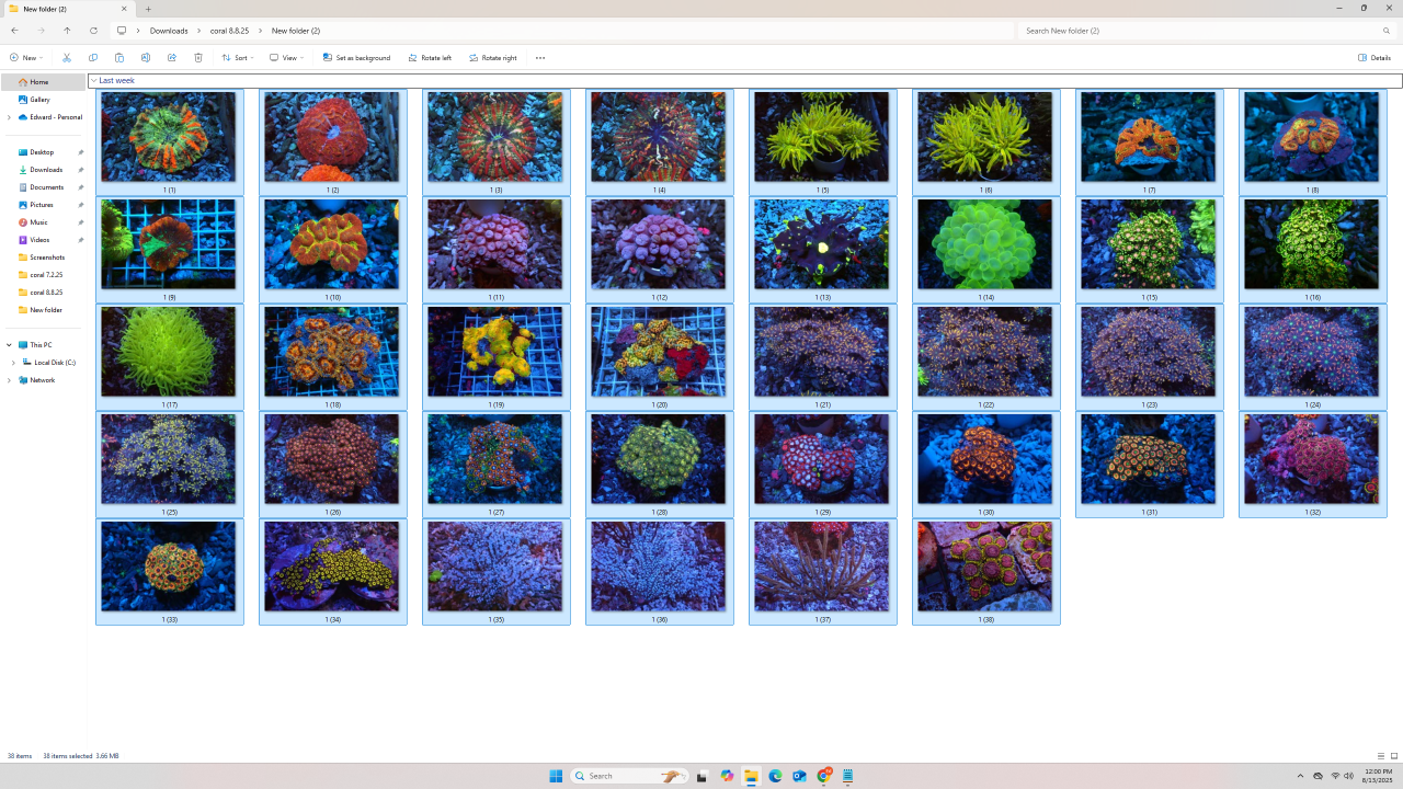 Screenshot (241).png