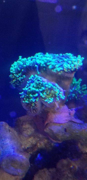 Screenshot_20201219-105359_Gallery.jpg