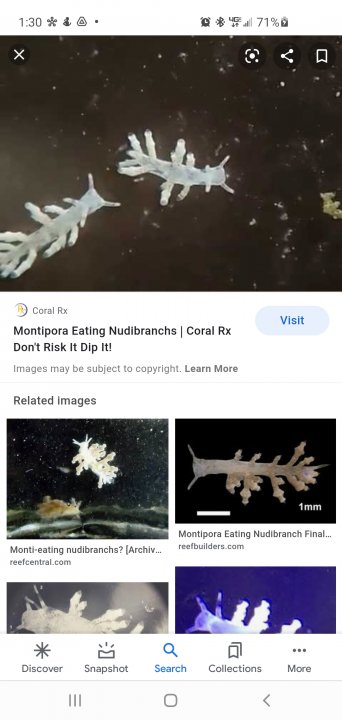Screenshot_20210406-133023_Google.jpg