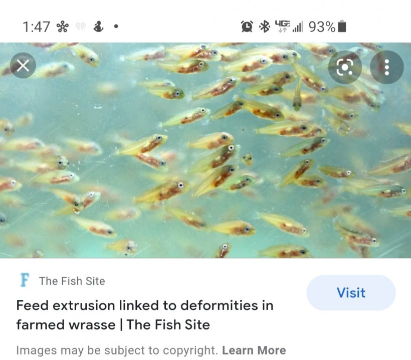 Screenshot_20210805-134757_Google.jpg
