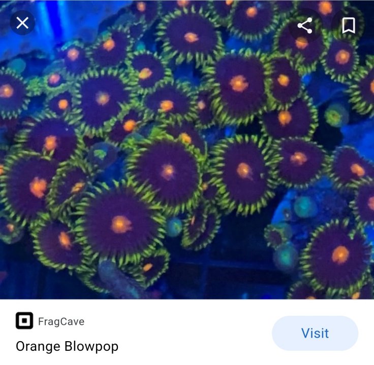 Screenshot_20220611-004447_Google.jpg