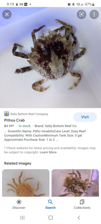 Screenshot_20221013-211921_Google.jpg