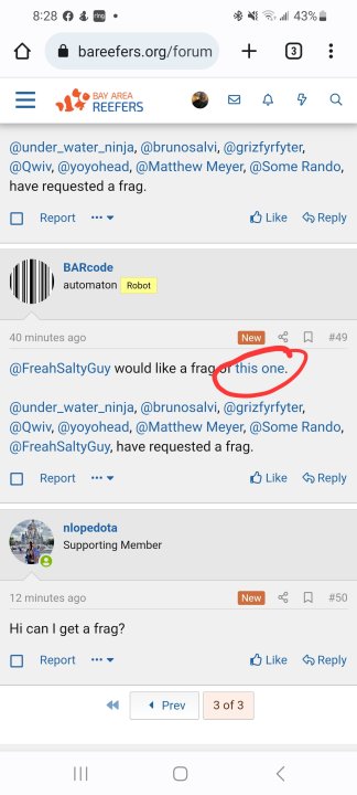 Screenshot_20221227_202840_Chrome.jpg
