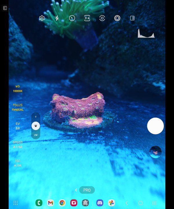 Screenshot_20230203_101144_Camera.jpg