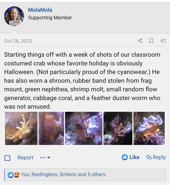 Screenshot_20231109-090652.png