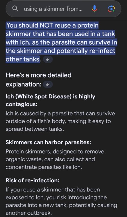 Screenshot_20250403_145213_Google.jpg