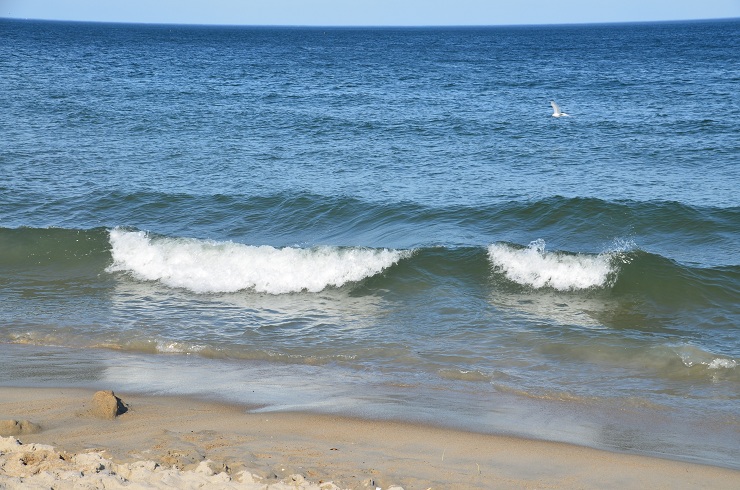 sea.JPG