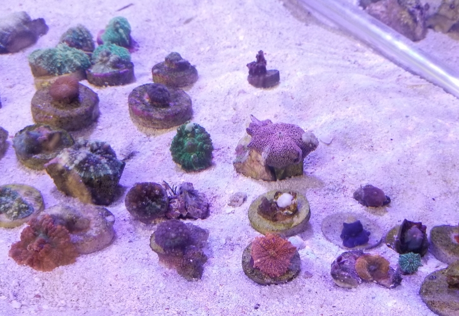SmartSelect_20180411-155922_Gallery.jpg
