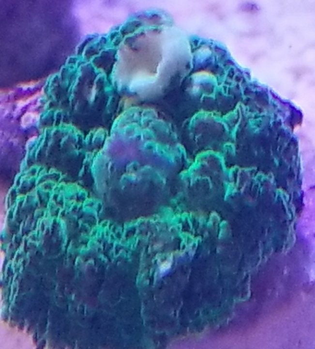 SmartSelect_20180411-173808_Gallery.jpg