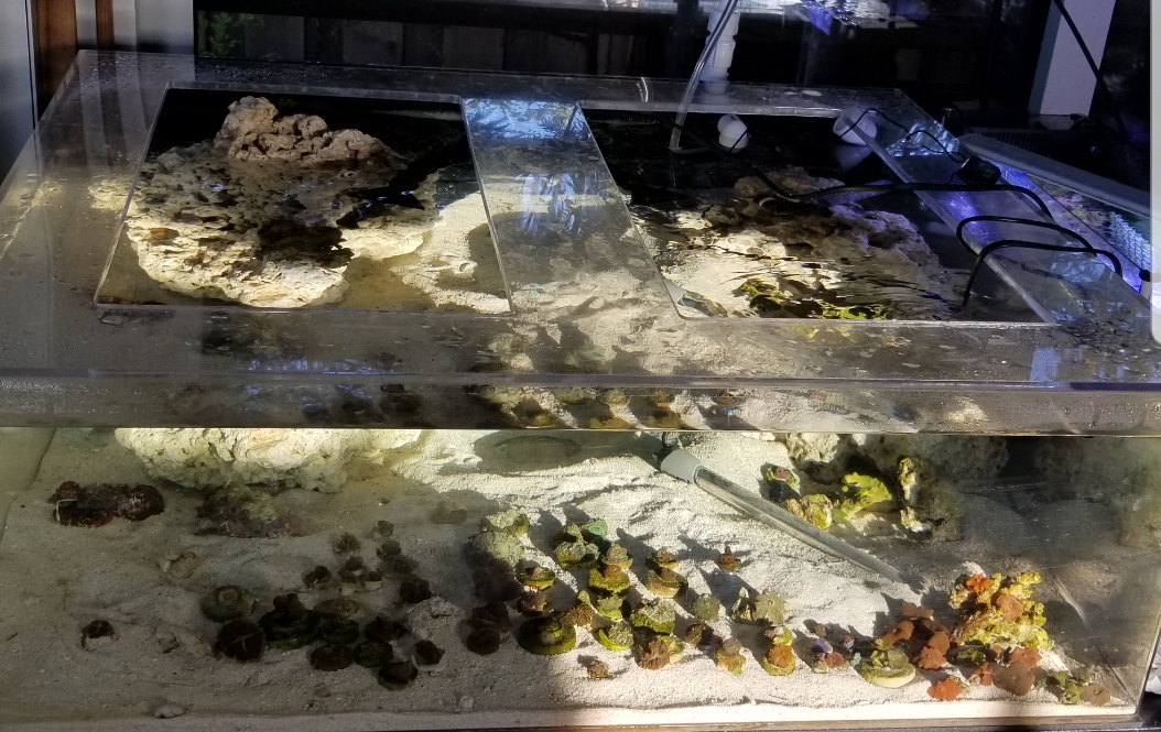SmartSelect_20180412-183025_Gallery.jpg