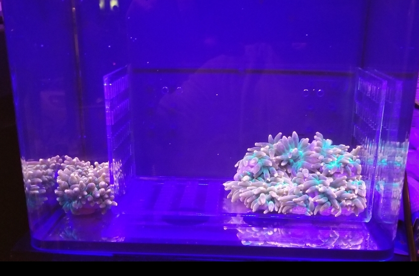 SmartSelect_20191215-080757_Gallery.jpg
