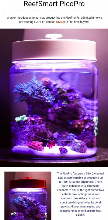 Pico Reef Bay Area Reefers Bar