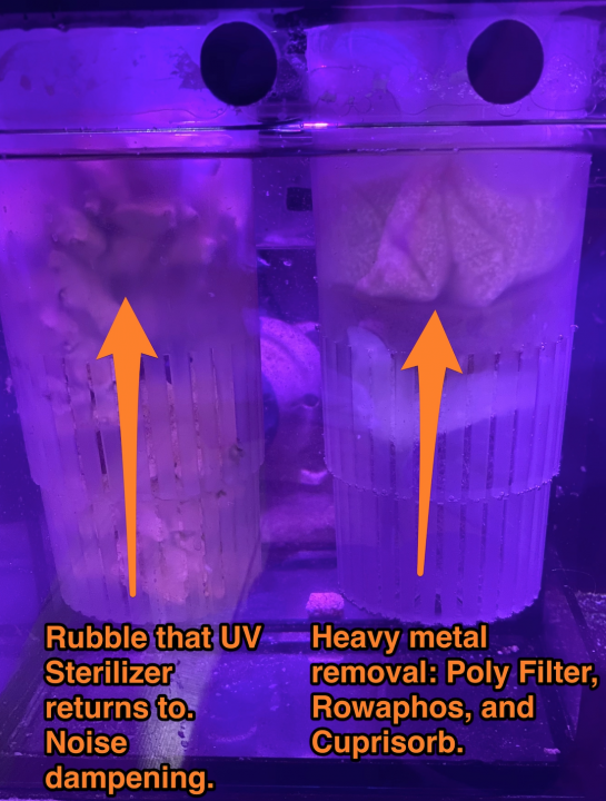 Sump filter cups Squist RSR 250 20200405.png