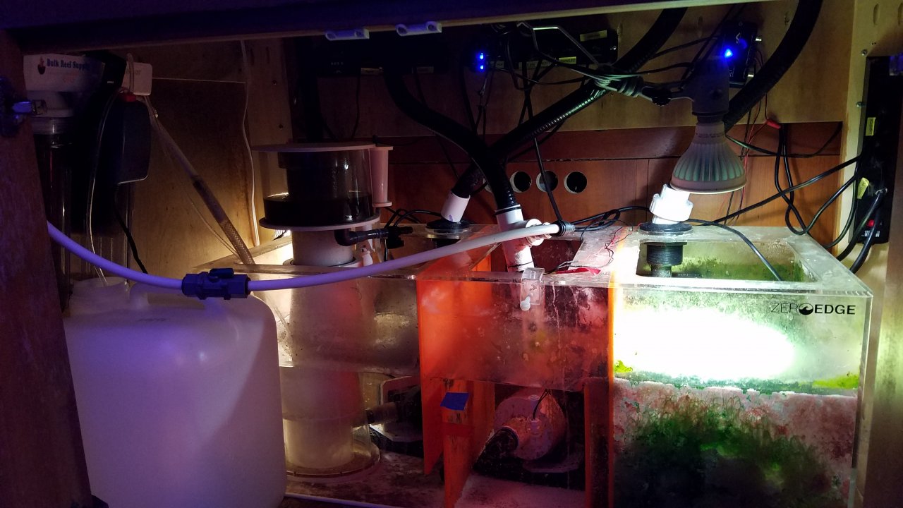 Sump.jpg