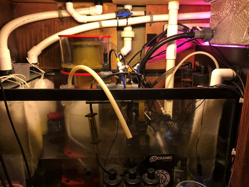 Sump2.jpg