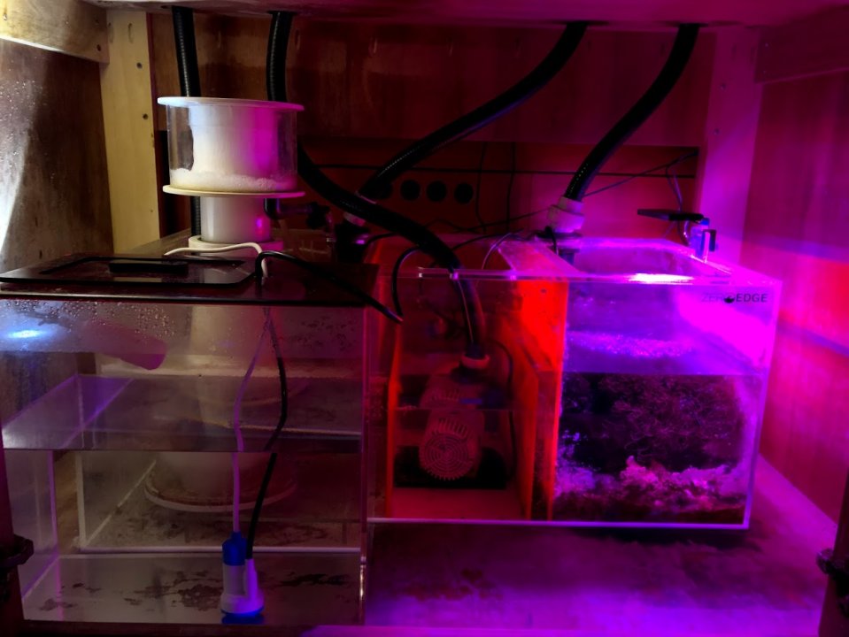 Sump2019-01-06.jpg