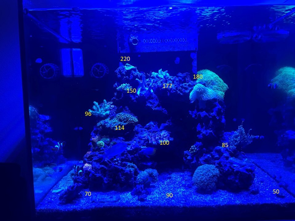 Tank 11-22-22A PAR.jpg