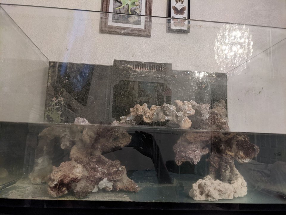 Tank.jpg