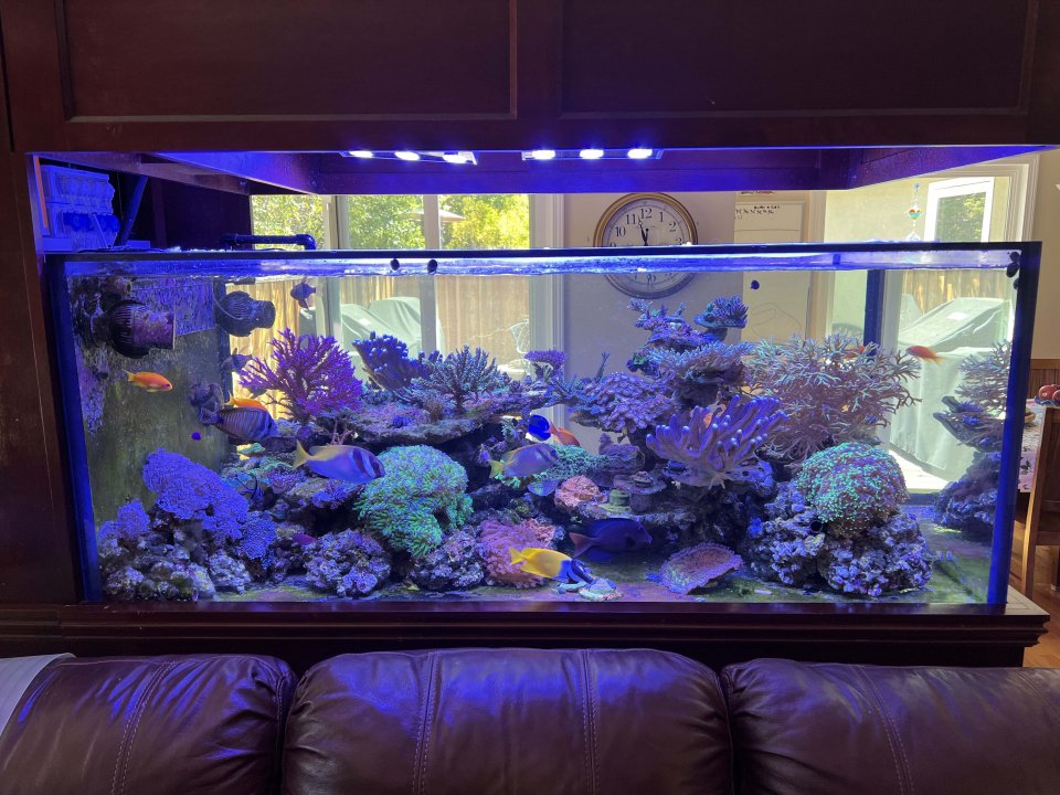 Tank shot May 2022.jpg