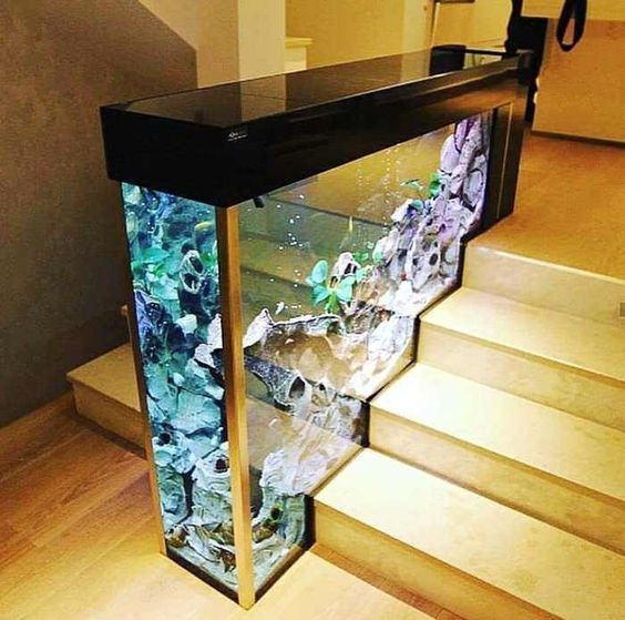 tank stair.jpeg