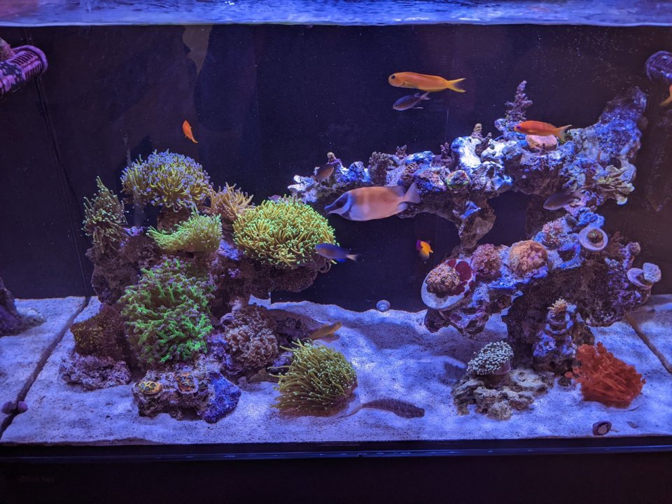 Tank Update.jpg