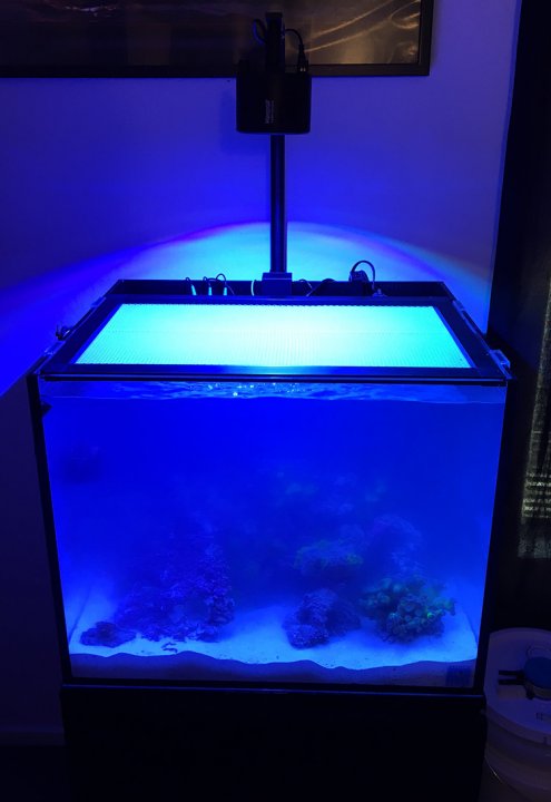 TankCloudy.jpg